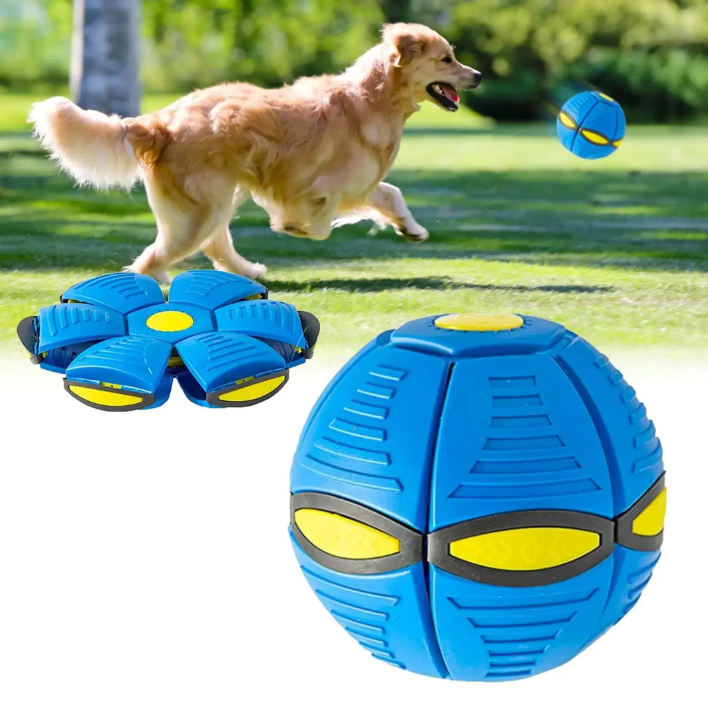 2024 New Doggy disc Ball Interactive Flying Saucer Ball Dog Toys pop up Ball for Dogs Variable Form Pet Toys (Blue) - Gazebo Pet Hub