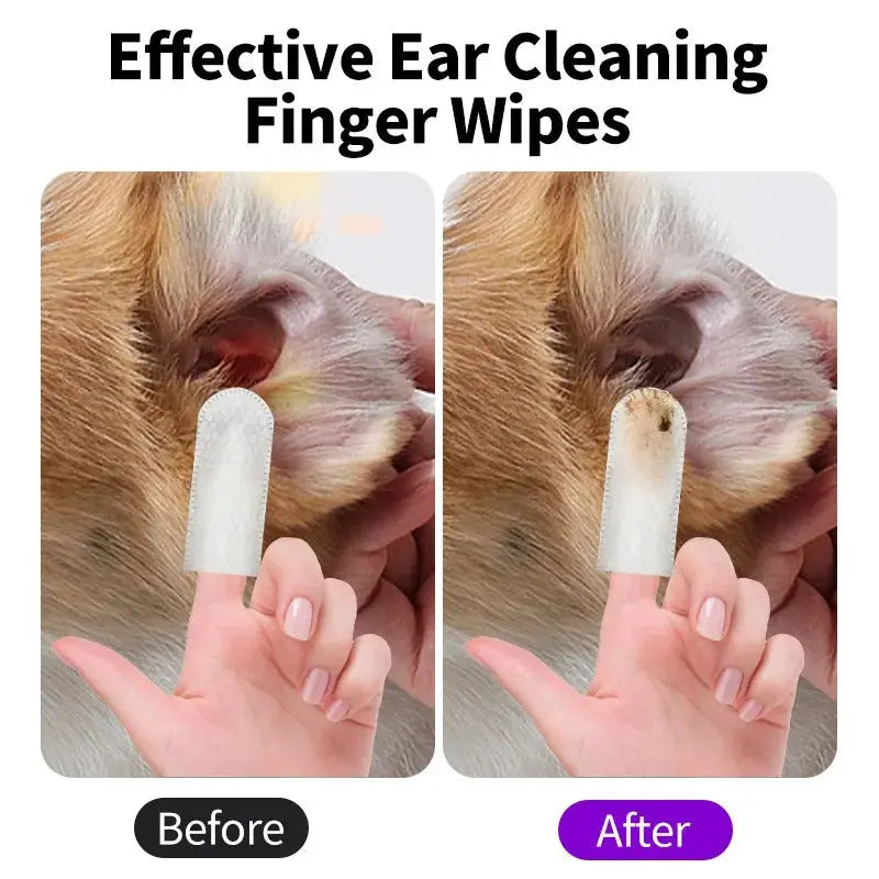 Pet cleaning products  Ear cleaning wipes  Ear care fingertips  Ear mite removal  Cat and dog ear cleaning pet products Gazebo Pet Hub