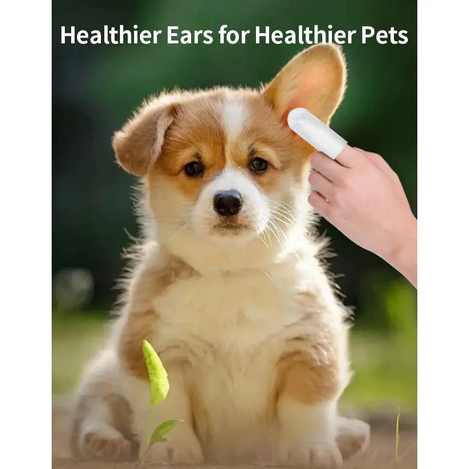 Pet cleaning products  Ear cleaning wipes  Ear care fingertips  Ear mite removal  Cat and dog ear cleaning pet products Gazebo Pet Hub
