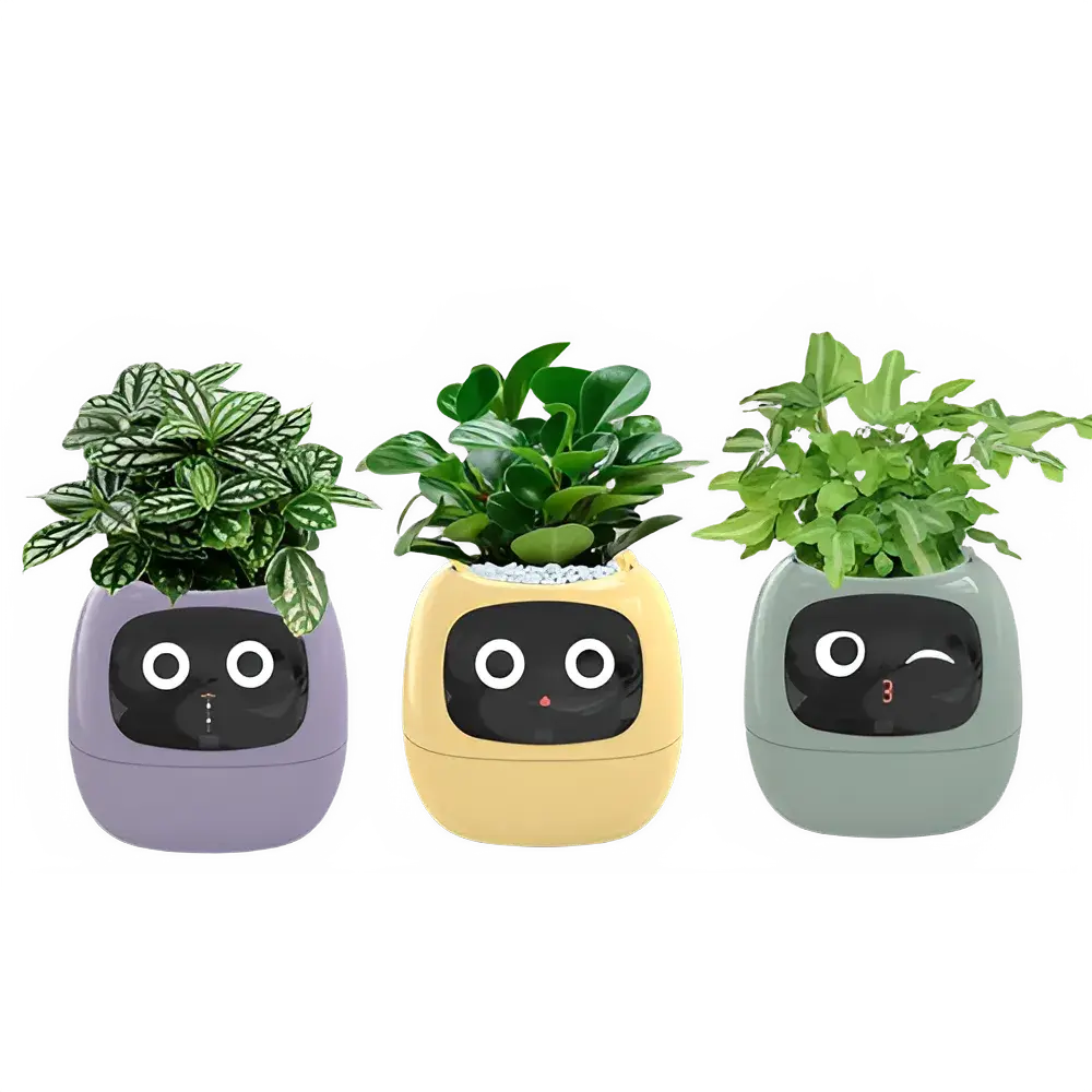 892cc631-5855-4ae8-9281-83a3b9a7a024