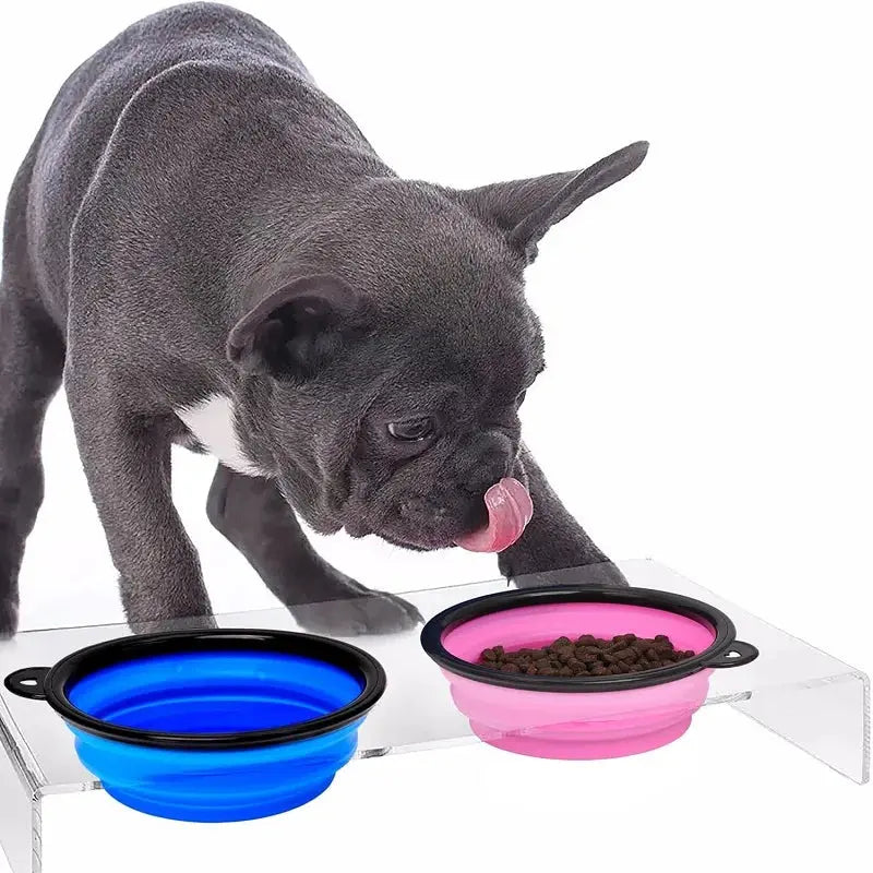 Folding Portable Silicone Dog Feeder Bowl 2 In 1 Pet Dispenser Outdoor Travel Dog Cat with Carabiner Bottle Food Water Container Gazebo Pet Hub