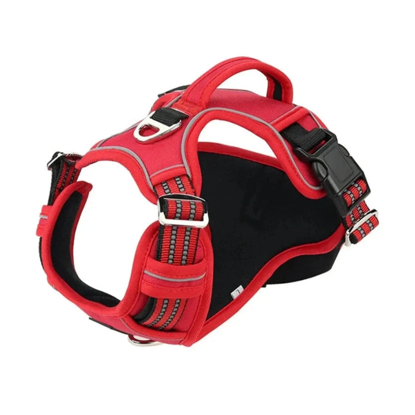 Durable Waterproof Pet Harness with Vertical Handle Gazebo Pet Hub