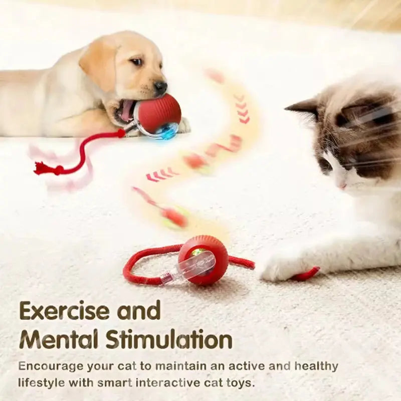 Cat Interactive Training Automatic Moving Ball Kitten Electric Ball Toy Gazebo Pet Hub