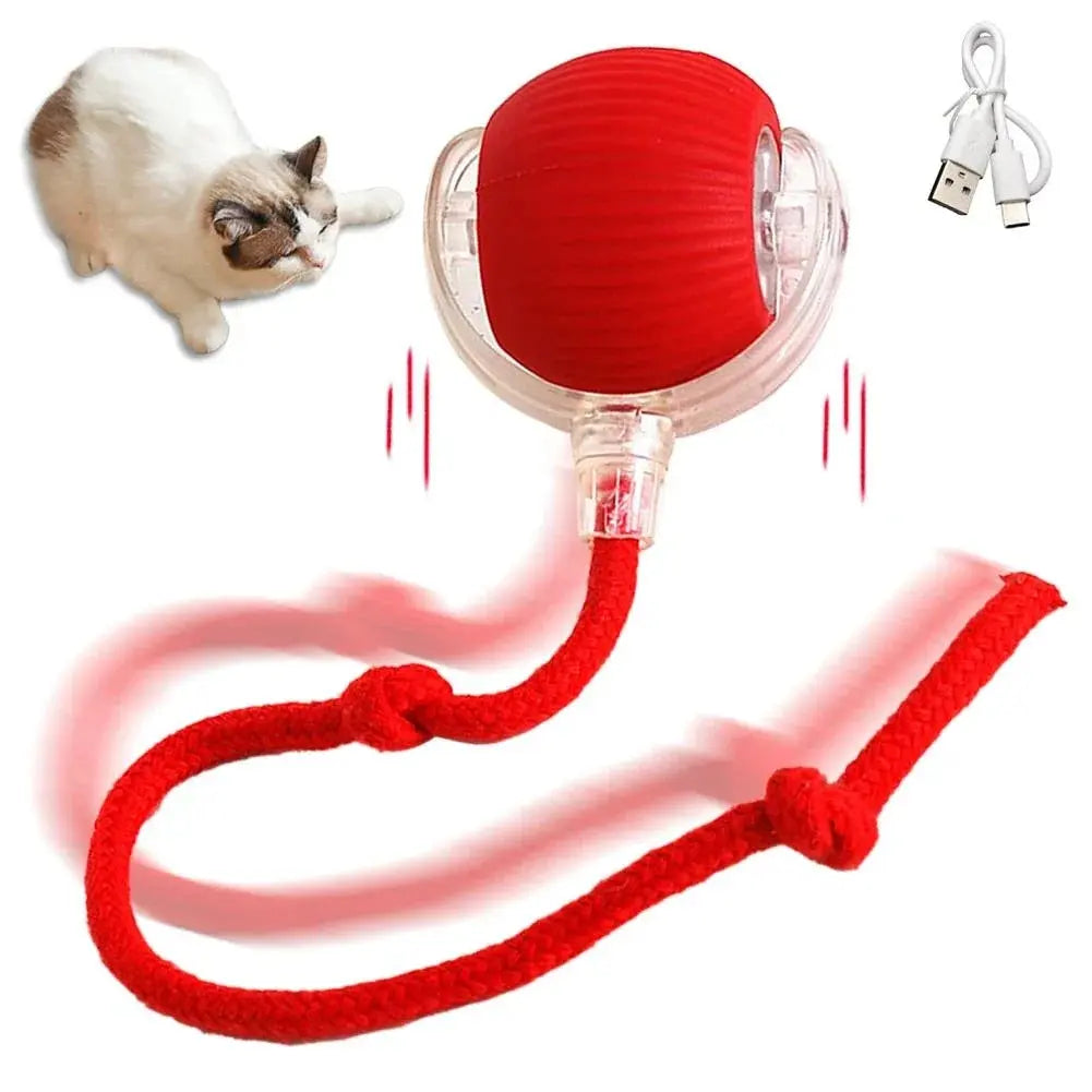 Cat Interactive Training Automatic Moving Ball Kitten Electric Ball Toy Gazebo Pet Hub