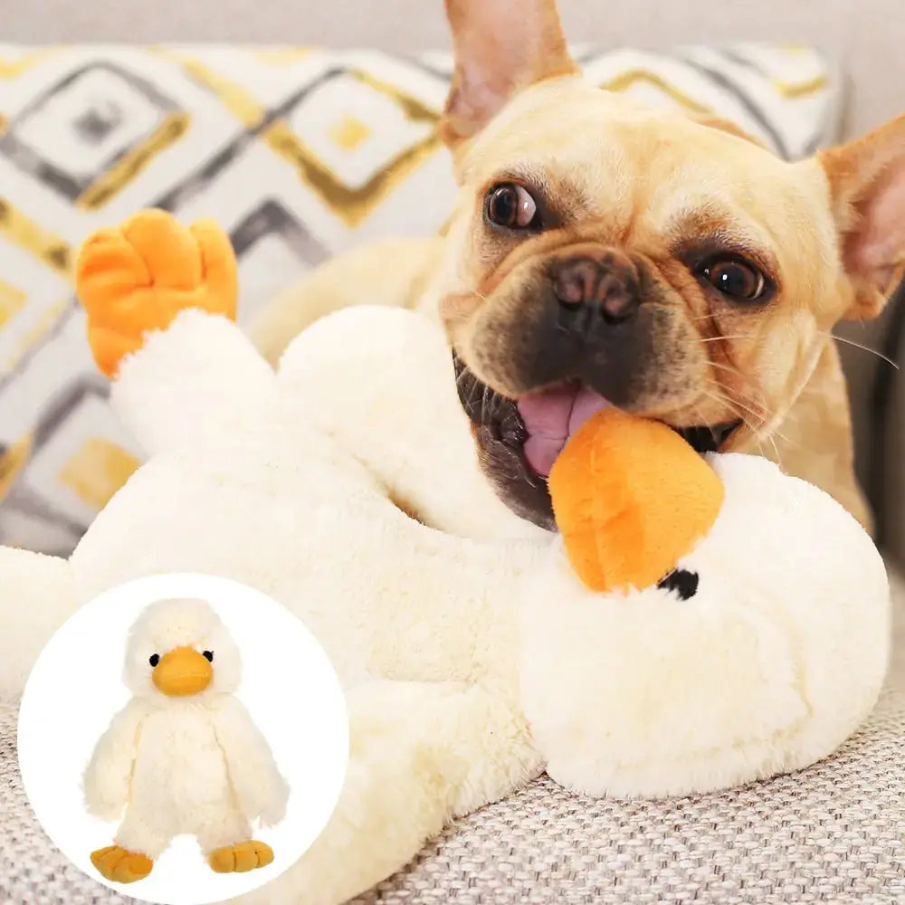 Dog Plush Toys for Pets - Gazebo Pet Hub