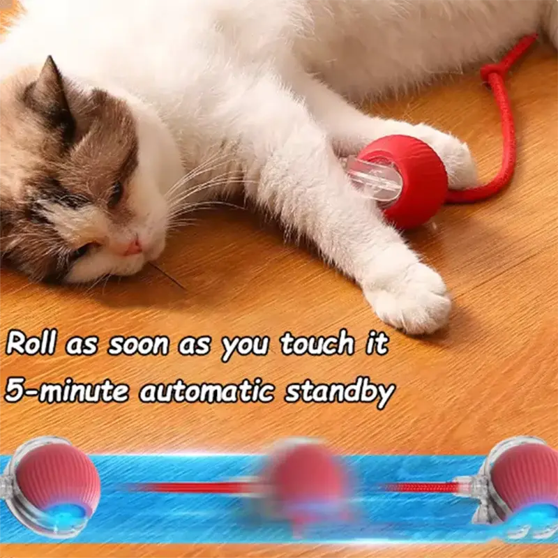 Hot cat toys are automatically teasing cat balls and self-exciting cat sticks and ticks and resistant to wear and bite pet toys Gazebo Pet Hub