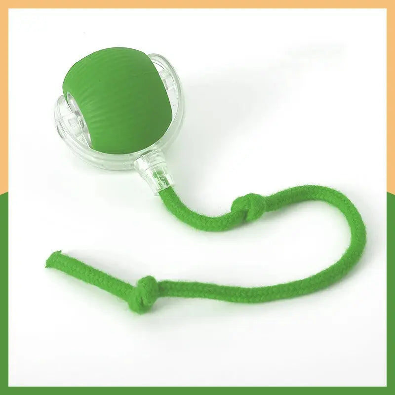 Hot cat toys are automatically teasing cat balls and self-exciting cat sticks and ticks and resistant to wear and bite pet toys Gazebo Pet Hub