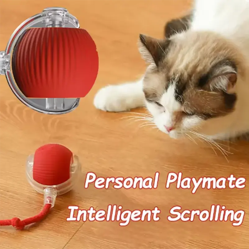 Hot cat toys are automatically teasing cat balls and self-exciting cat sticks and ticks and resistant to wear and bite pet toys Gazebo Pet Hub