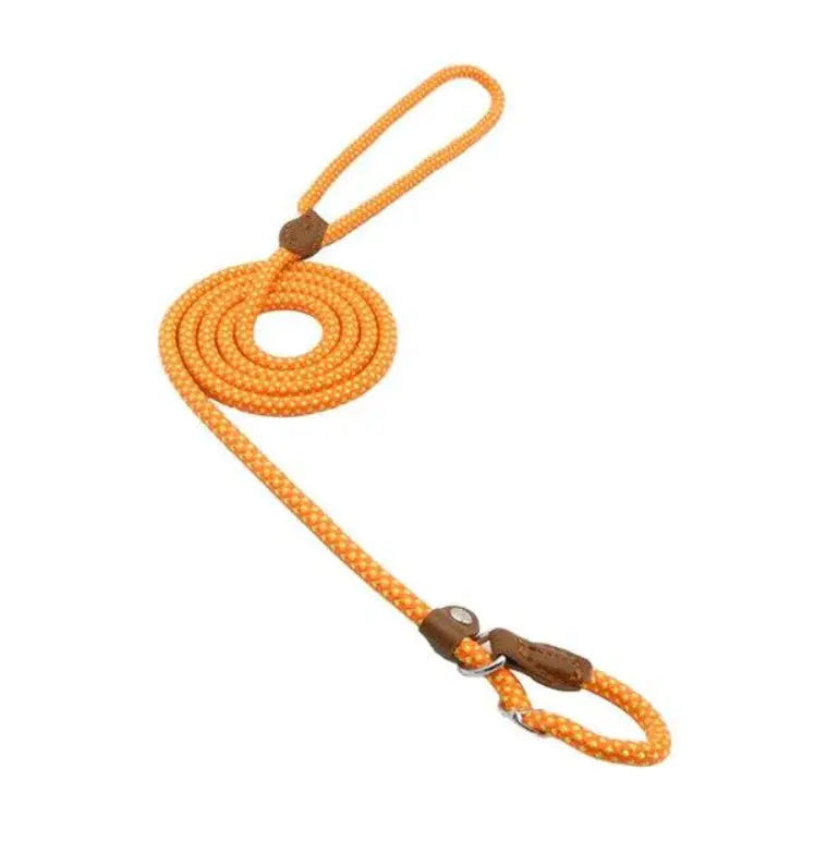 Nylon Pup Set Gazebo Digital Mart