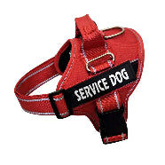 Personalized Pet Chest Strap Products Gazebo Pet Hub