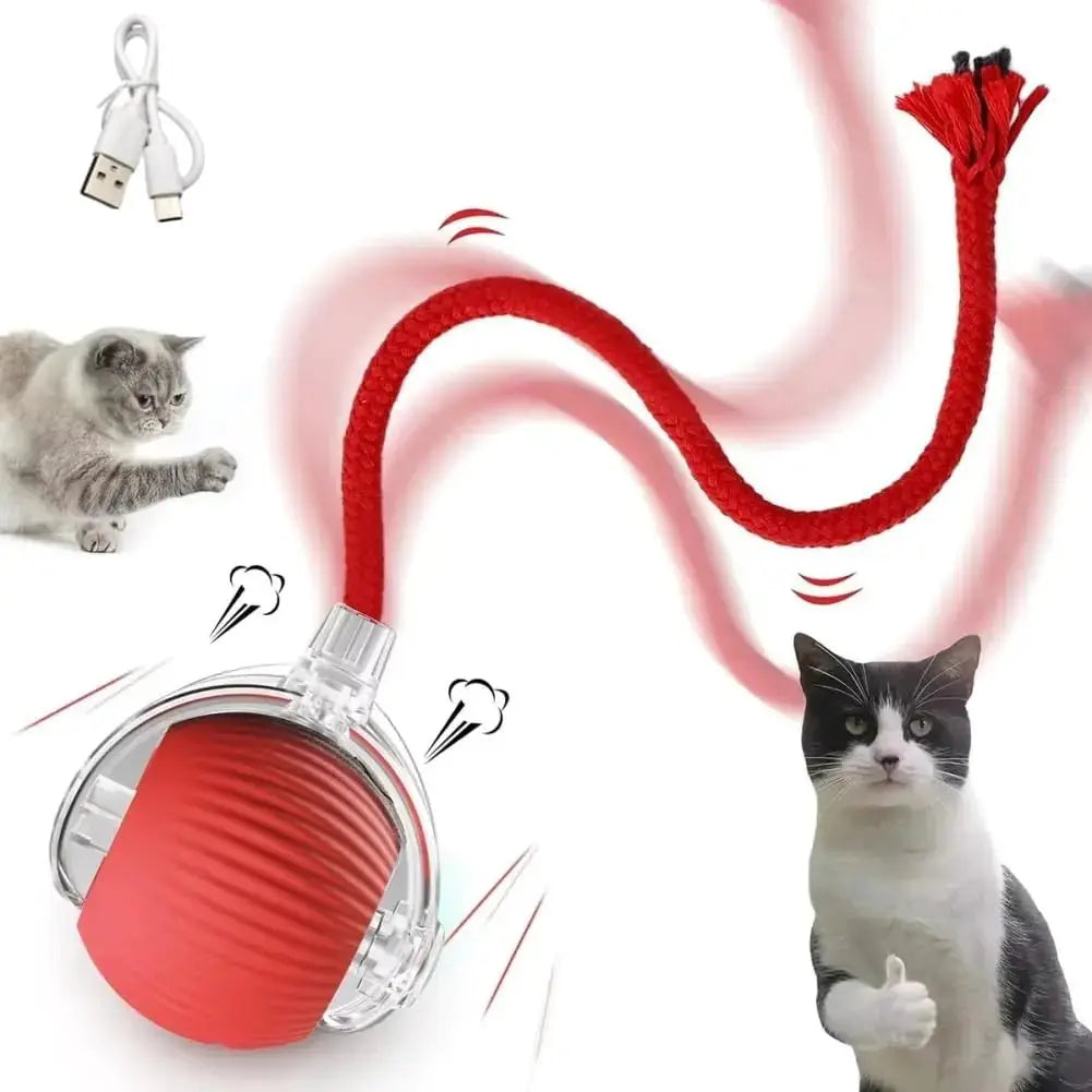 NIGRITY Interactive Rolling Cat Toys Ball Interactive Rolling Dog Ball Motion Activate Rolling Pet Toys Automatic Self Moving Dog/Cat for Indoor Cats Toys Fast Rolling on Carpet (Red) - Gazebo Pet Hub