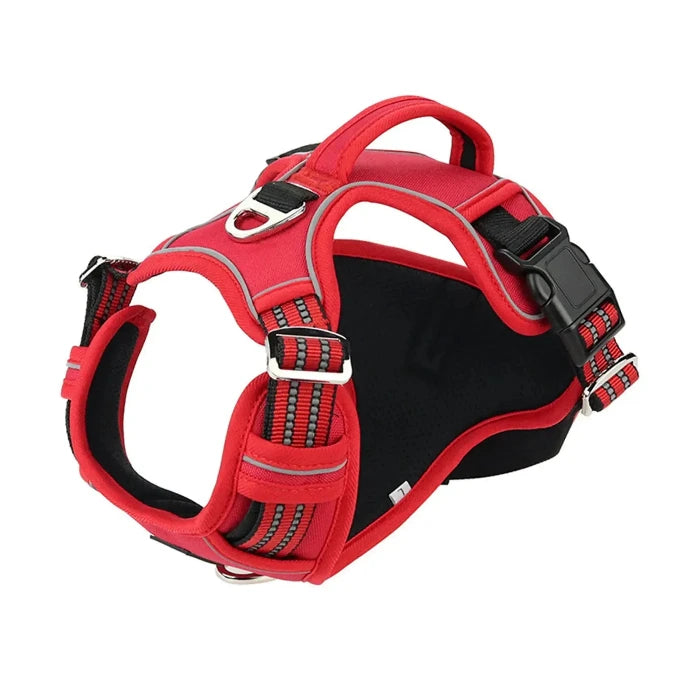Durable Waterproof Pet Harness with Vertical Handle Gazebo Pet Hub