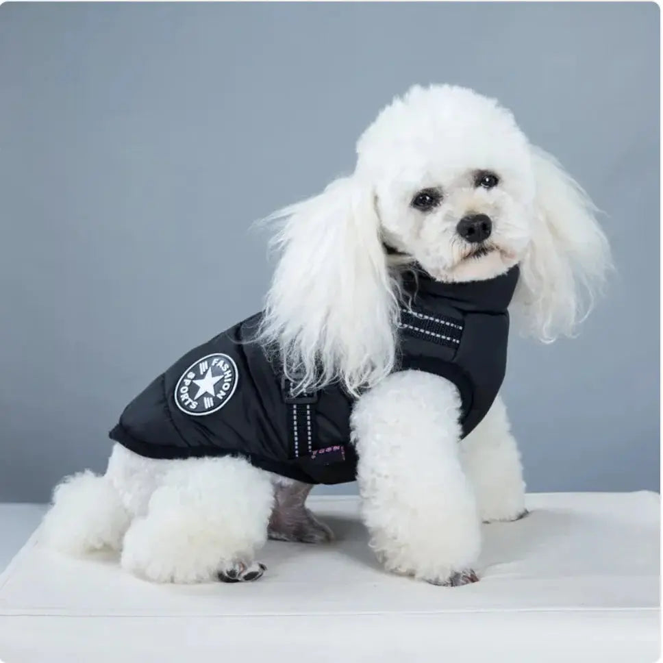 Padded Ski Vest For Pets Gazebo Pet Hub