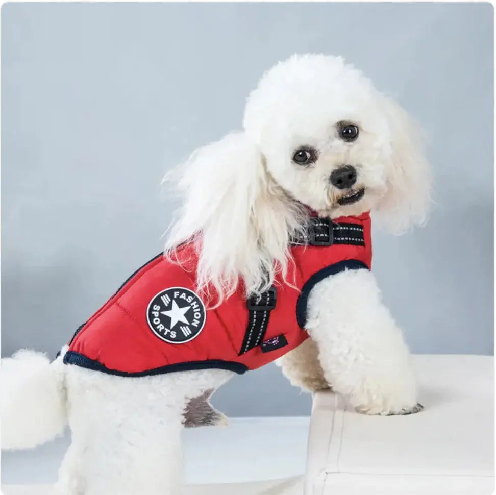 Padded Ski Vest For Pets Gazebo Pet Hub