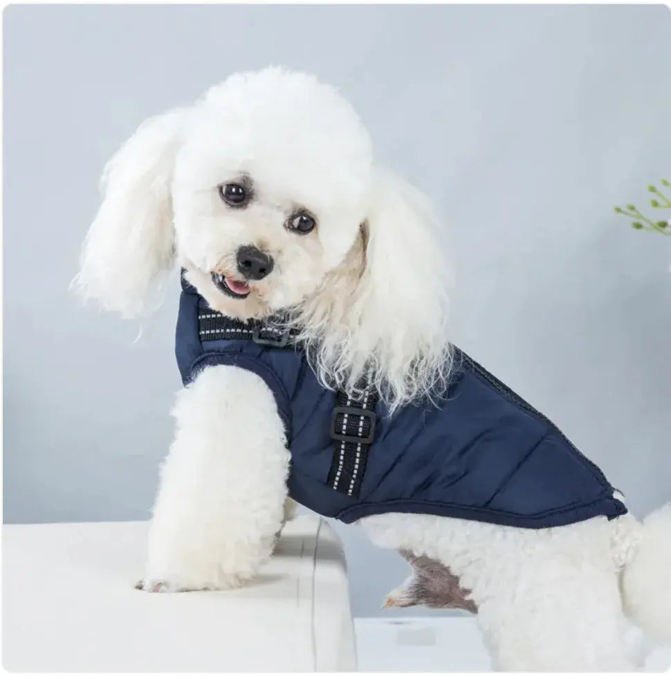Padded Ski Vest For Pets Gazebo Pet Hub