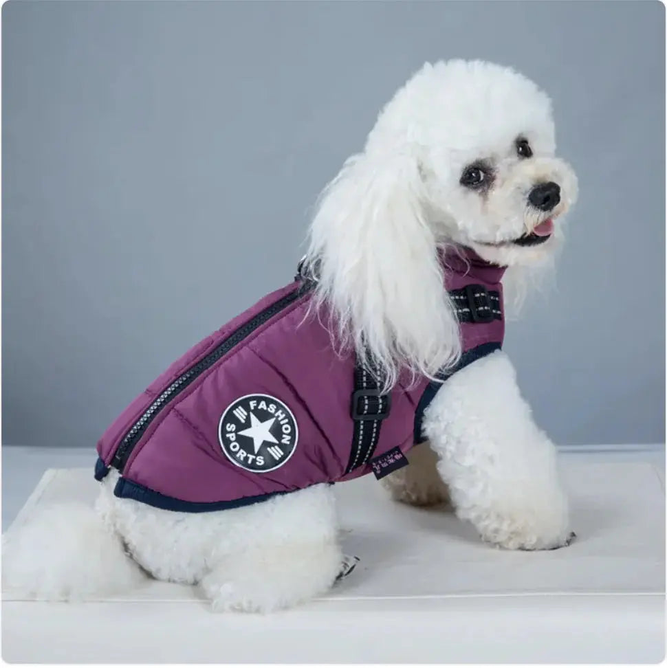 Padded Ski Vest For Pets Gazebo Pet Hub