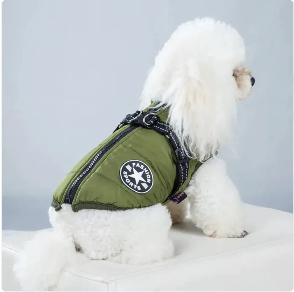 Padded Ski Vest For Pets Gazebo Pet Hub