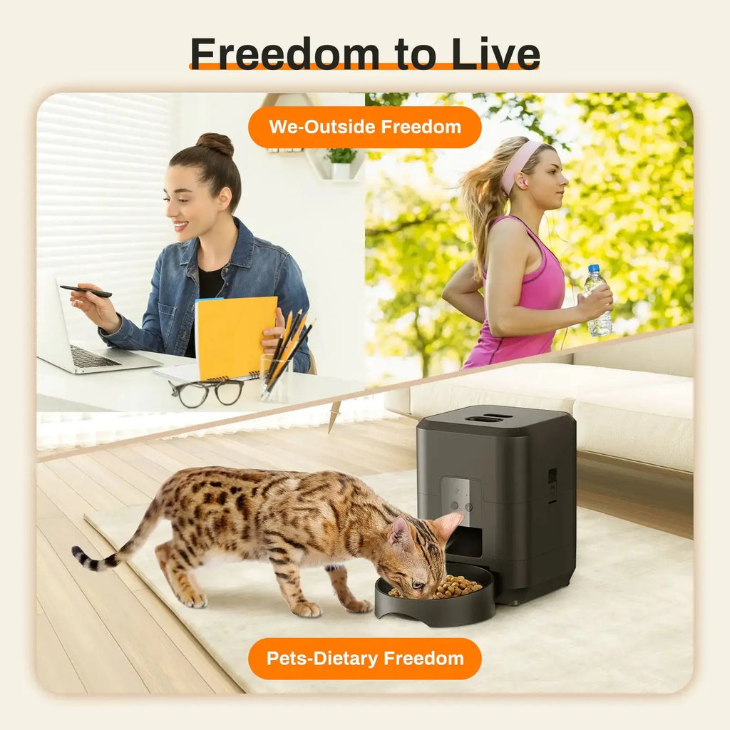 Pet Intelligent Timing Quantitative Remote Automatic Pet Feeder Gazebo Pet Hub
