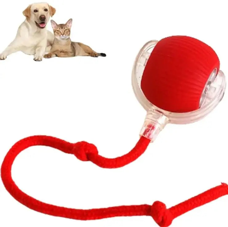 Pets Ball Toy - Gazebo Pet Hub