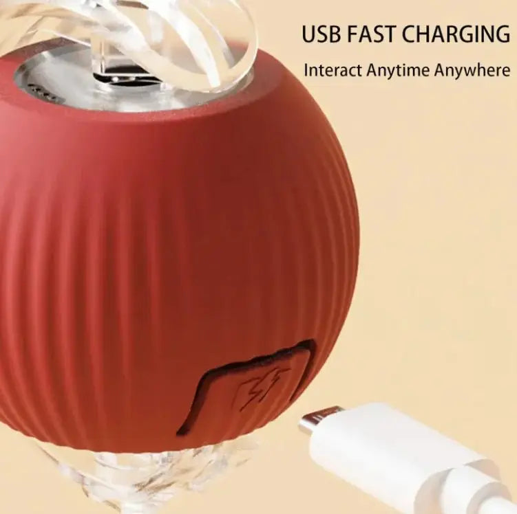 Pets Ball Toy - Gazebo Pet Hub