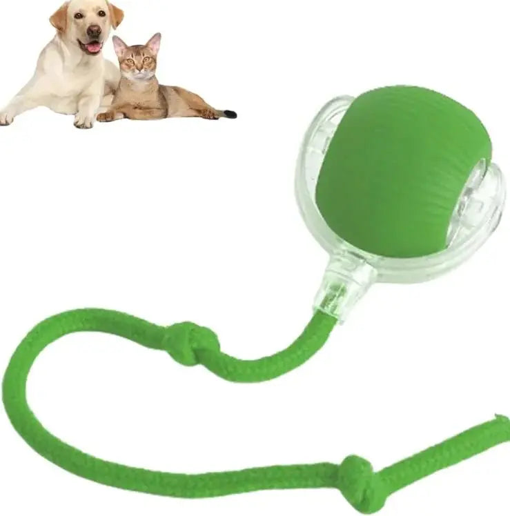 Pets Ball Toy - Gazebo Pet Hub