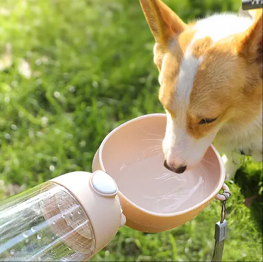Portable Dog Water Bottle ? Travel Bowl & Food Container for Pets Gazebo Pet Hub