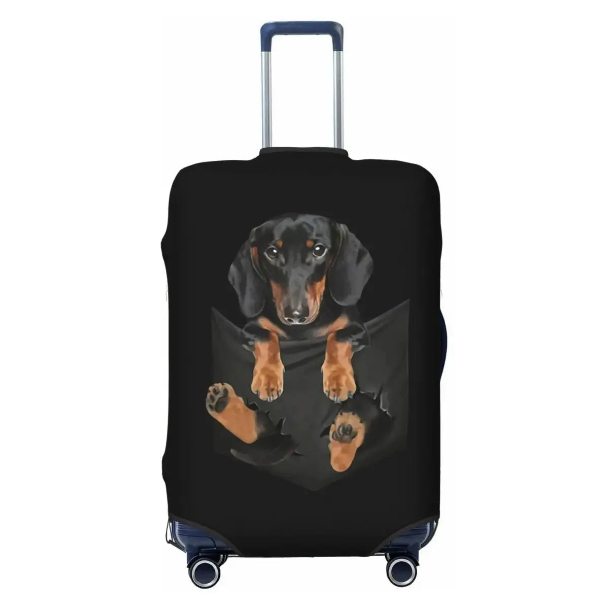 S050103c3652342ad8509ad6ed639f445G