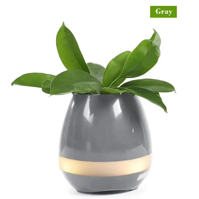 S0a05de7b78164163b4ff3291e4f357a0t