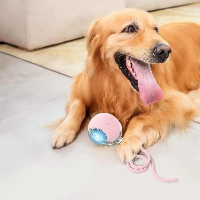 S64f2549e61d542eabb3bfbc1ac148ceak