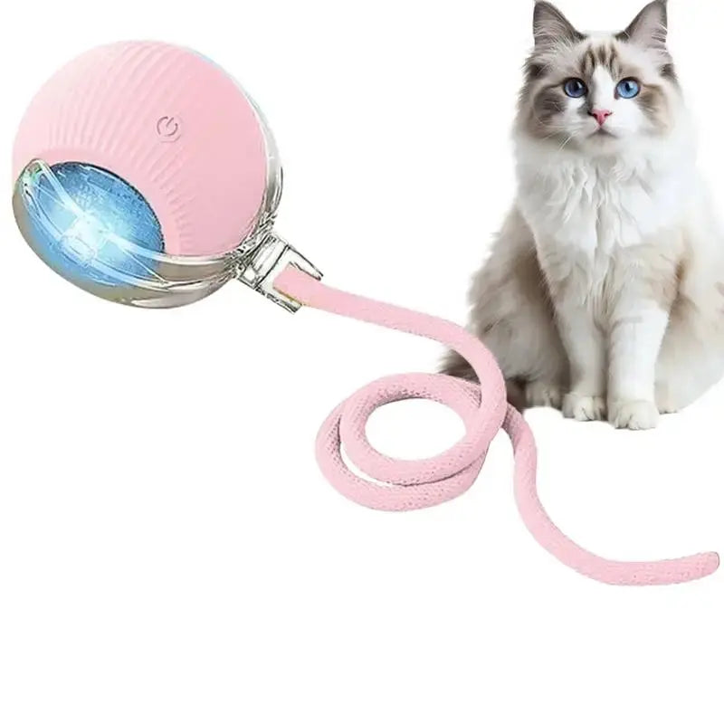 S68dd7cc5adf5441592253146dc2465f8S