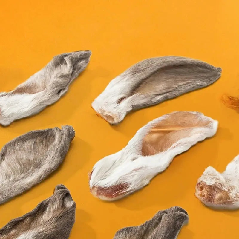 S85dd1e4337dc489cbc59d7b4def8c7baK