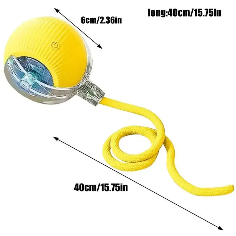 S877b63ba37794cc1b377e1b728ea874dZ