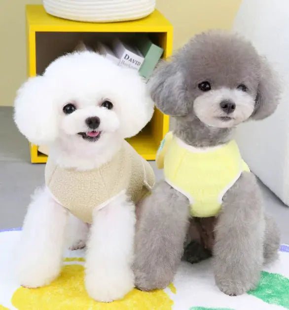 Sanded Student Skirt for Pets Gazebo Pet Hub