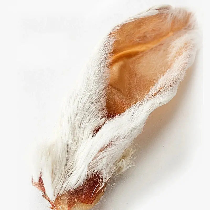 Se038f6edacad490299bfe1689249a622n