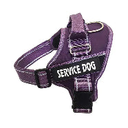 Personalized Pet Chest Strap Products Gazebo Pet Hub