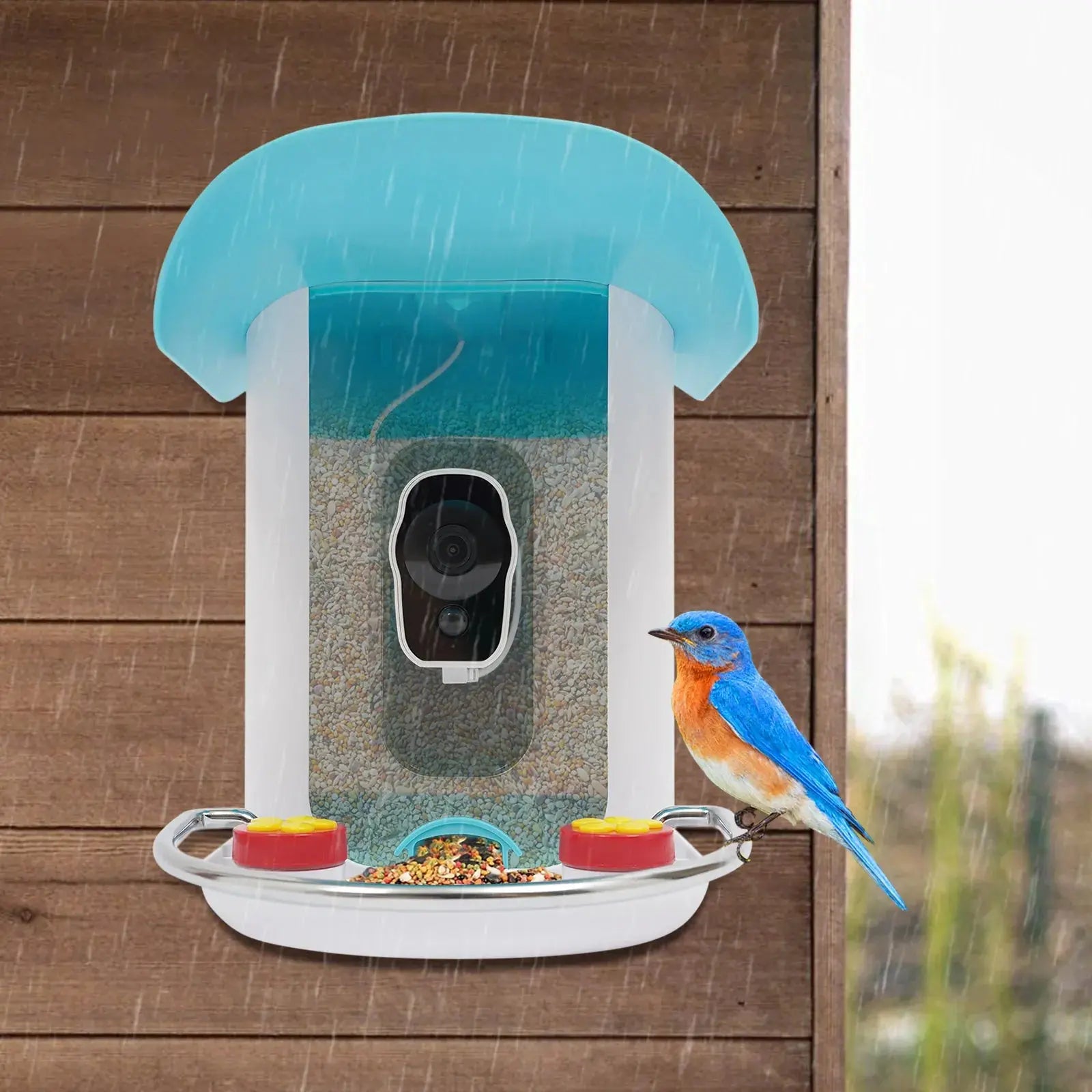 Bird Auto Capture with Solar Panel—2.4GHz WiFi(32.81ft), PIR Alert(Notify Phone), Alarm(Repel Squirrels), 4 Phones Share Gazebo Pet Hub